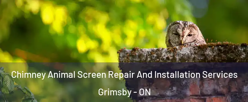  Chimney Animal Screen Repair And Installation Services Grimsby - ON