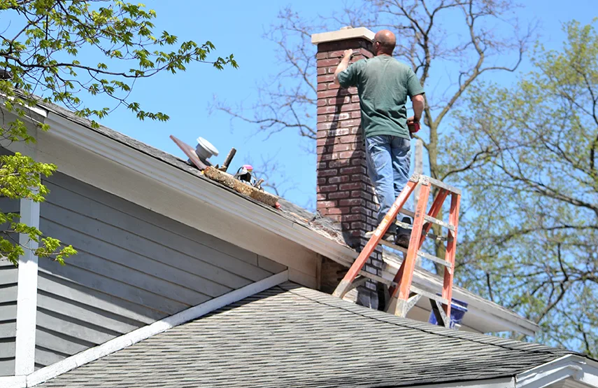 Chimney & Fireplace Inspections Services in Grimsby, ON