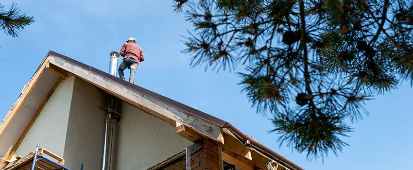 Birds Removal Contractors from Chimney in Grimsby, ON
