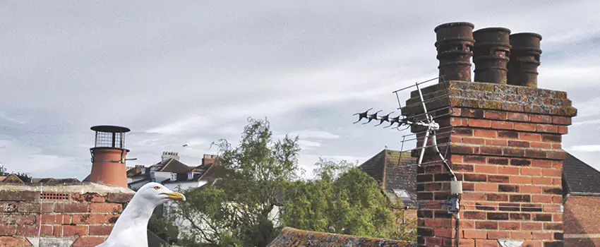 Chimney Cleaning And Restoration in Grimsby, Ontario