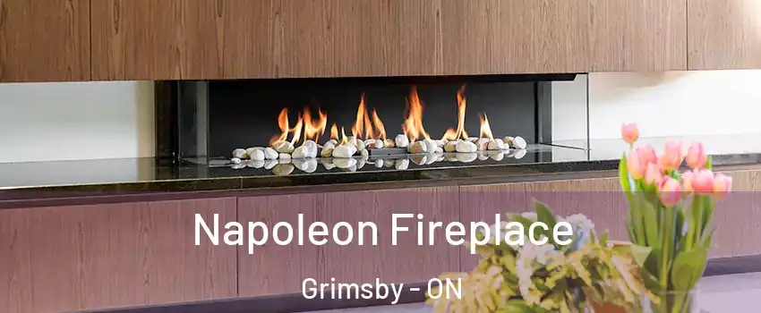  Napoleon Fireplace Grimsby - ON